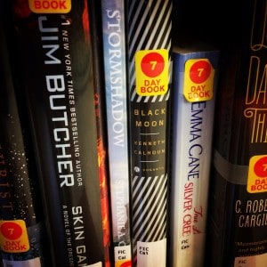 Books by traditional and indie authors on the same library shelf