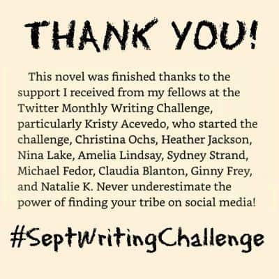 Stormseer Acknowledgements to Twitter Writing Challenge friends