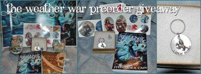 Photos of three giveaway packages for The Weather War preorder giveaway