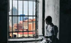 A Spirit of Camaraderie cover: A woman in Victorian clothes sit in a window reading. Outside the window is the skyline of modern Indianapolis.